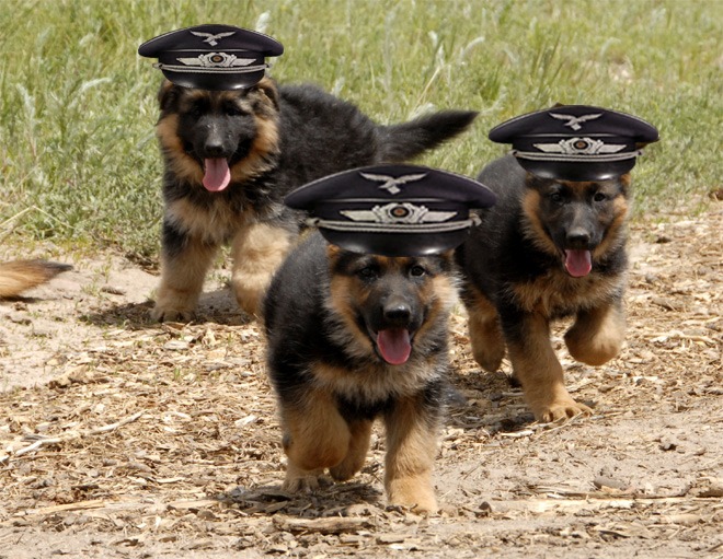 SS Trainees